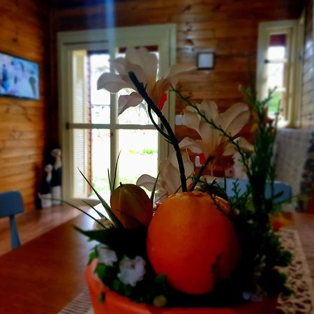 Sitio Recanto Feliz Gramado Room photo