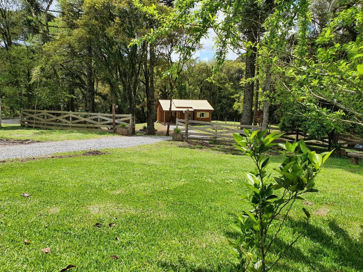 Sitio Recanto Feliz Gramado Exterior photo