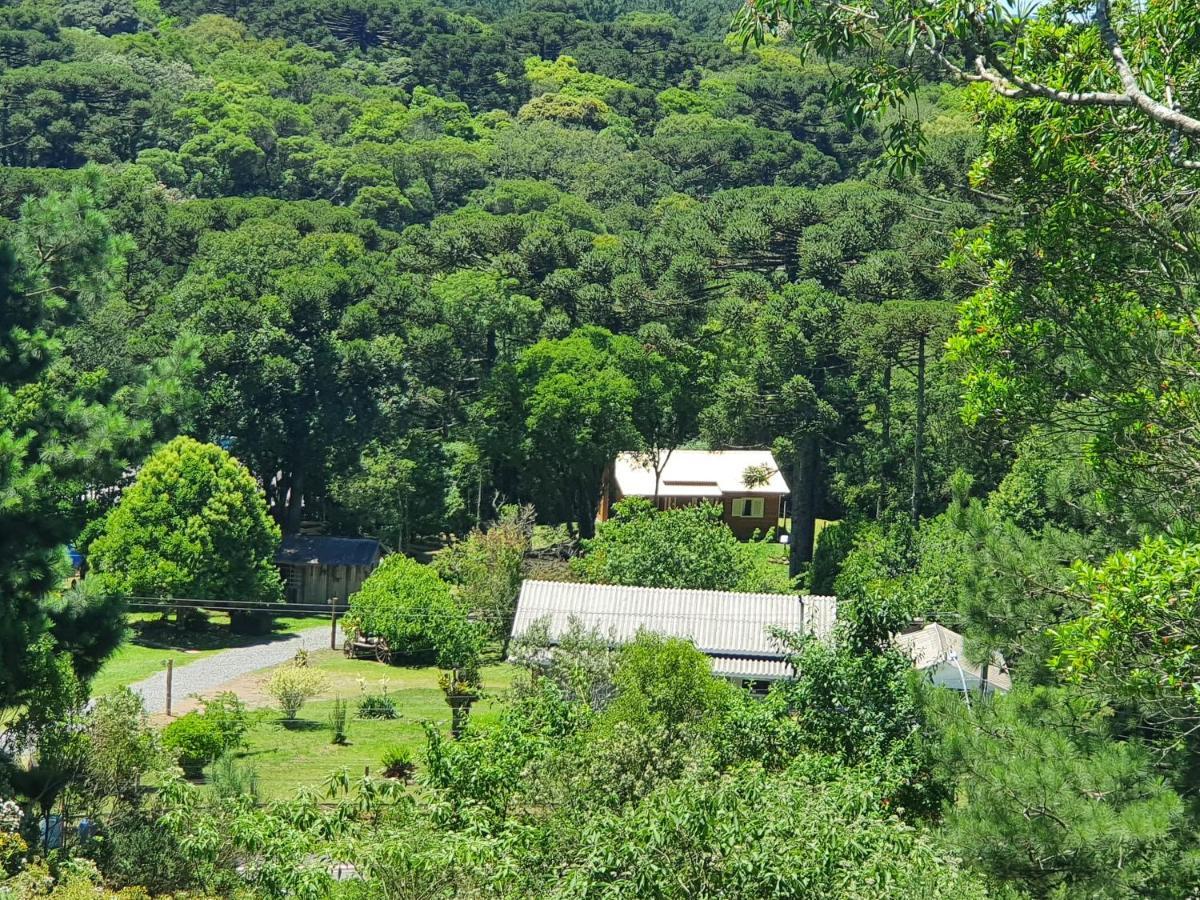 Sitio Recanto Feliz Gramado Exterior photo