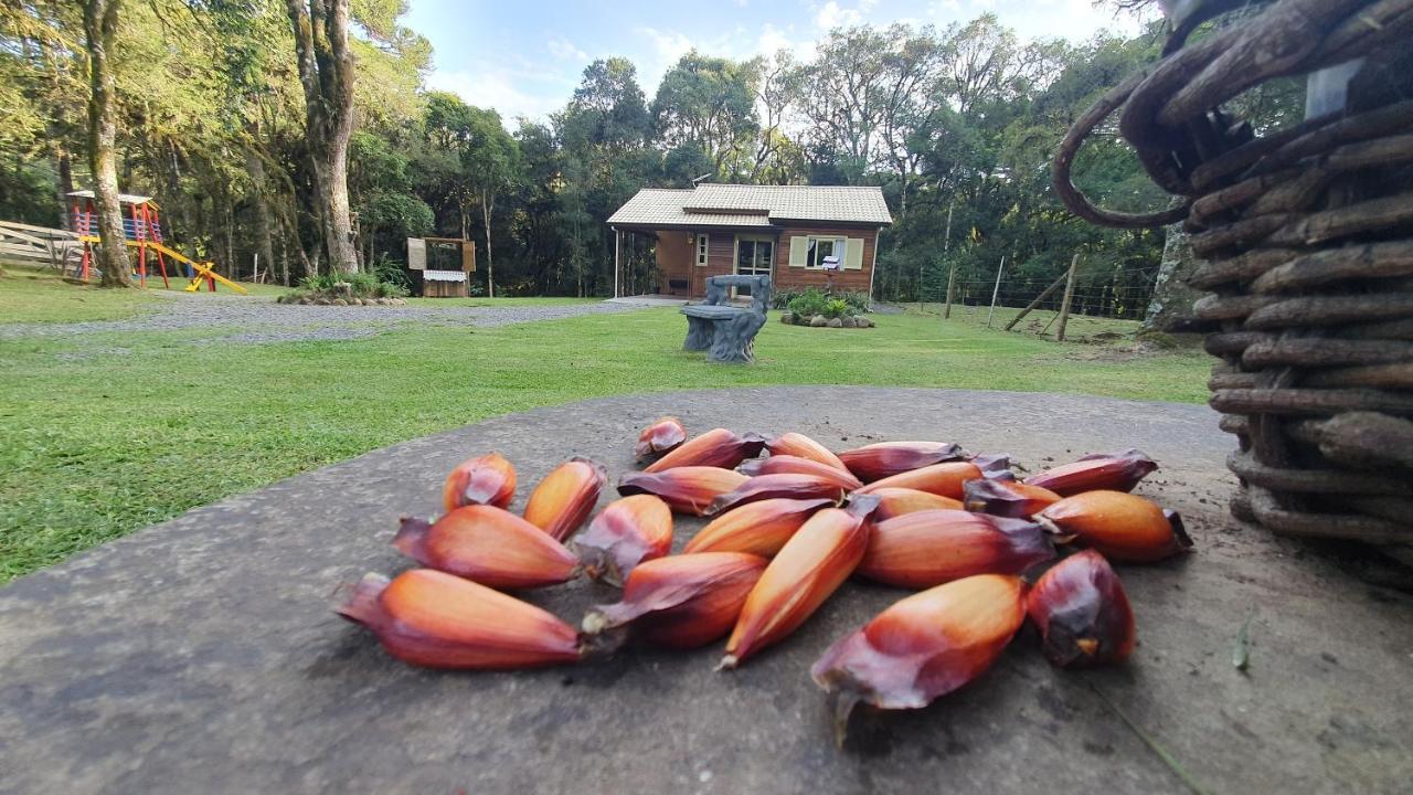 Sitio Recanto Feliz Gramado Exterior photo